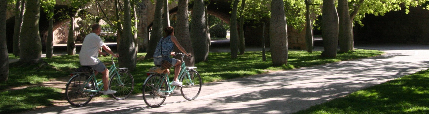 Een fietstour om de stad te ontdekken